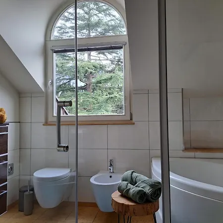 Mansarde Zeder In Privatvilla Im Zentrum Merans Apartment *